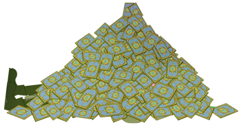 PileOCards_HS_InBlog_EK_350x185.png